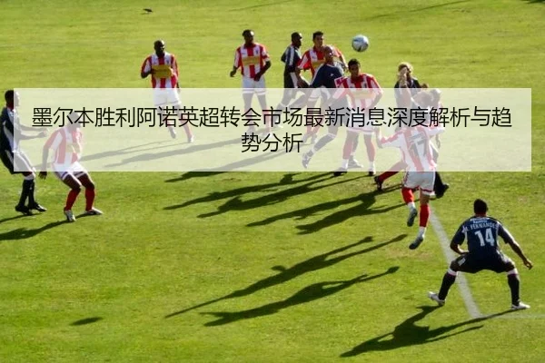 墨尔本胜利阿诺英超转会市场最新消息深度解析与趋势分析
